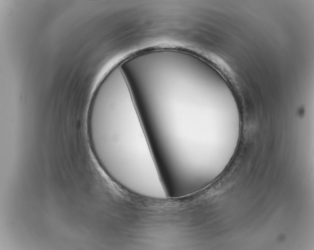 X0000094171183200710260902