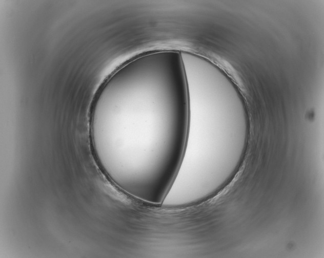 X0000094171184200710260902