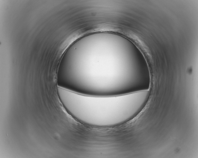 X0000094171185200710260902