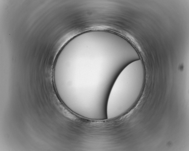 X0000094171186200710260902