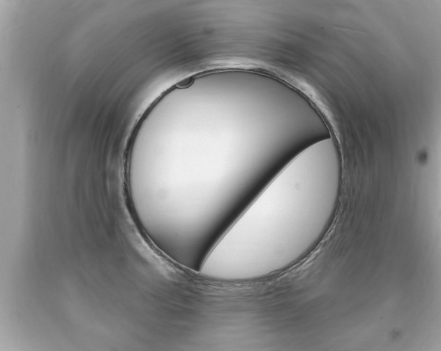 X0000094171187200710260902
