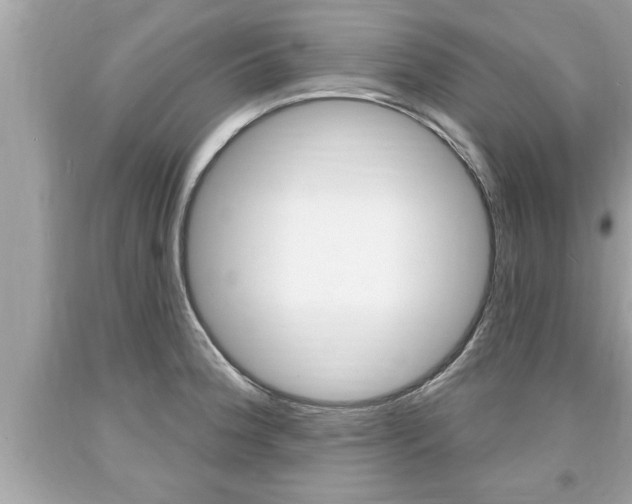 X0000094171188200710260902