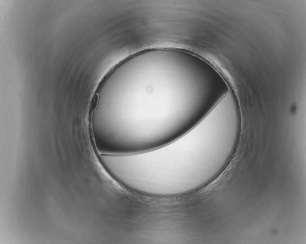X0000094171189200710260902
