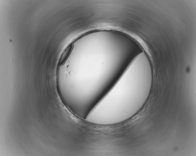 X0000094171191200710260902