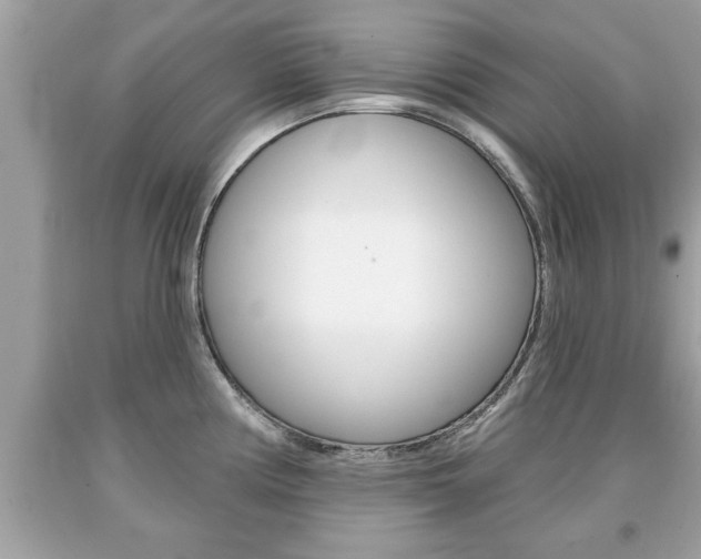 X0000094171194200710260902