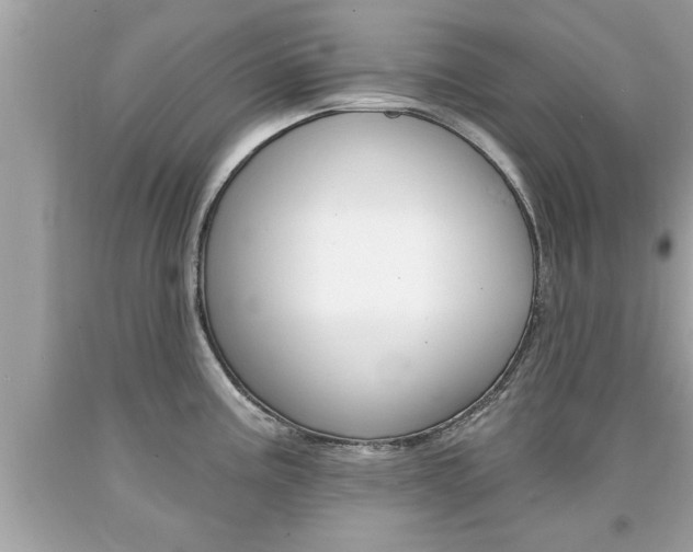 X0000094171195200710260902