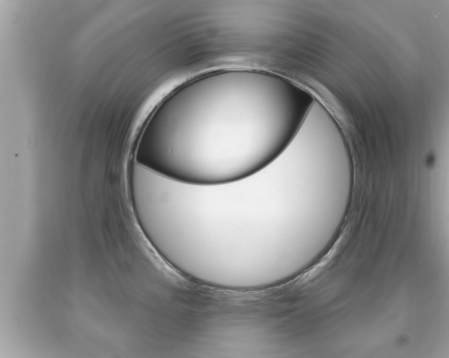 X0000094171196200710260902