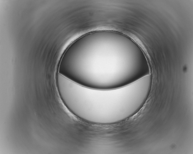 X0000094171197200710260902