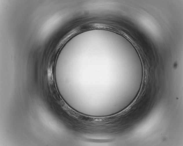 X0000094171198200710260902