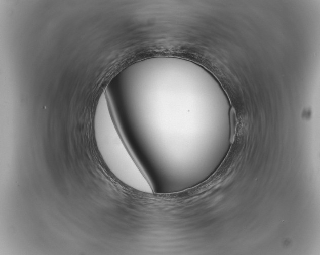 X0000094171202200710260901
