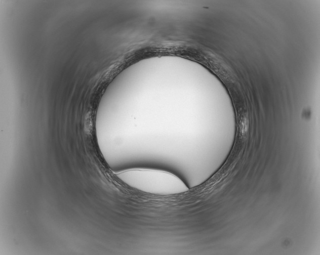 X0000094171204200710260901