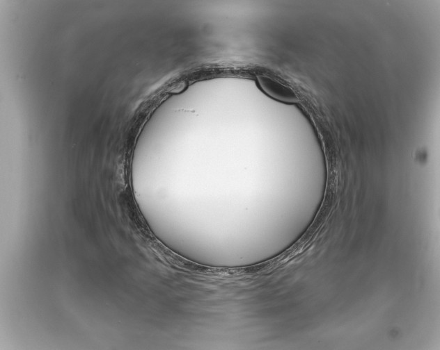 X0000094171205200710260901
