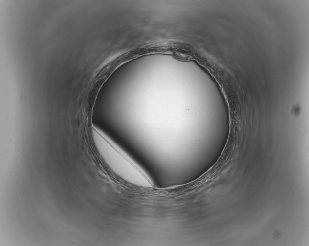 X0000094171206200710260901