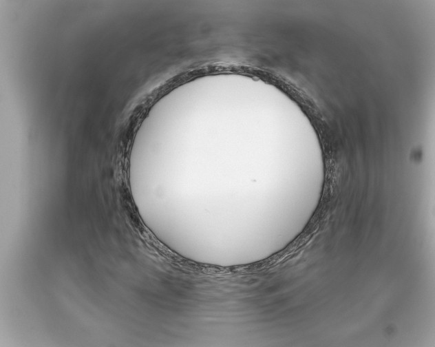 X0000094171207200710260901