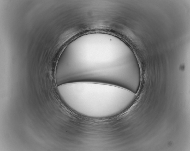X0000094171209200710260901