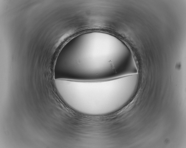 X0000094171210200710260901