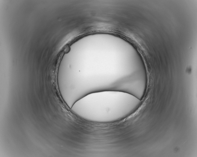 X0000094171211200710260901