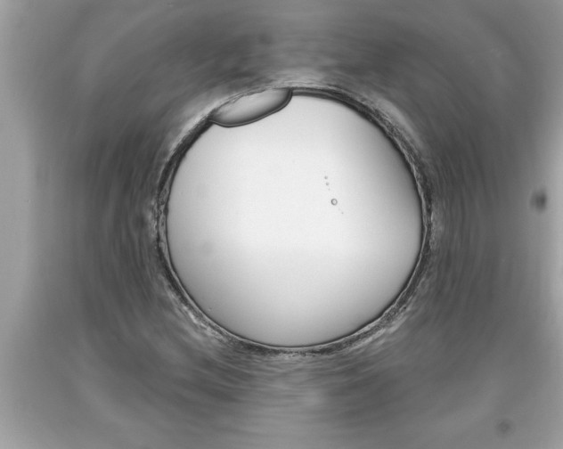 X0000094171212200710260901