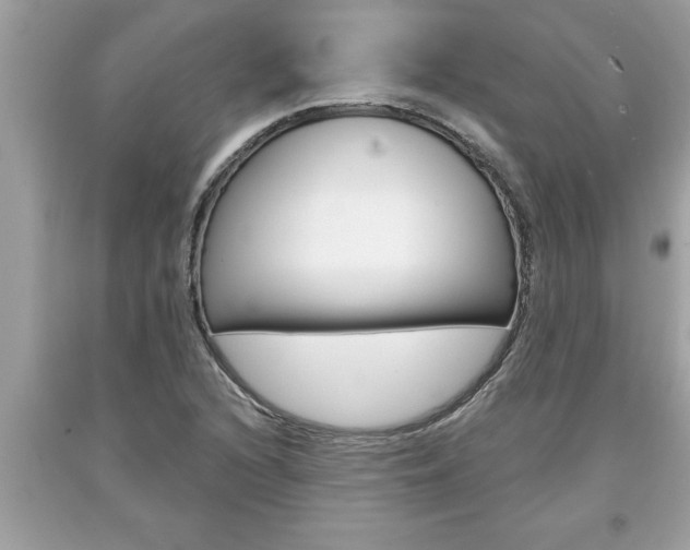 X0000094171216200710260901
