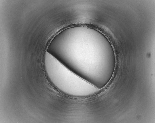 X0000094171217200710260901