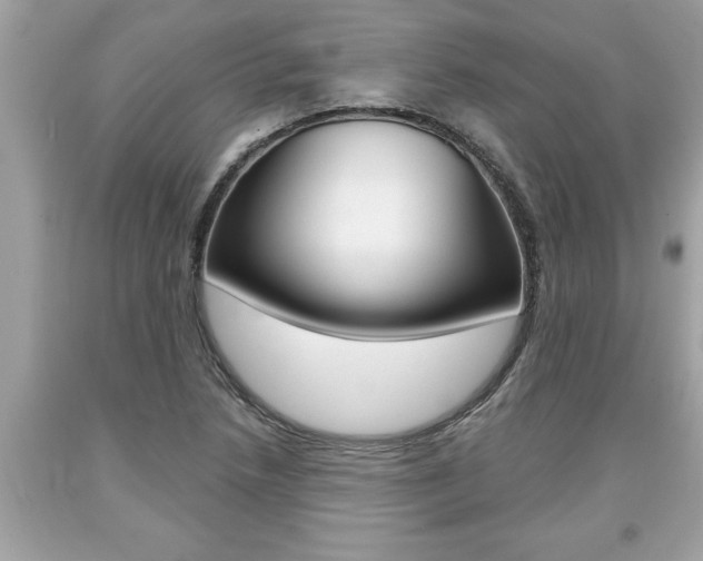 X0000094171218200710260901