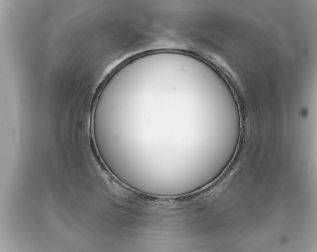 X0000094171220200710260901
