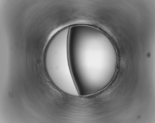 X0000094171222200710260901