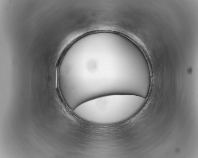 X0000094171223200710260901