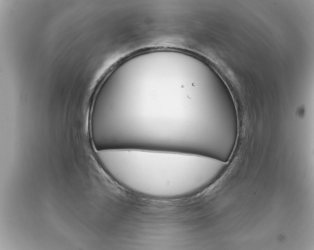 X0000094171224200710260901