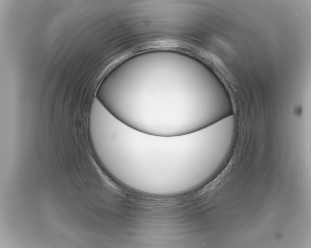 X0000094171225200710260901