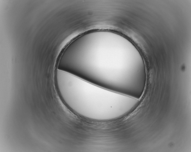 X0000094171229200710260902