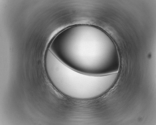 X0000094171230200710260902
