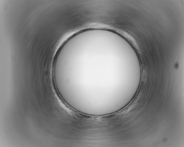 X0000094171231200710260902