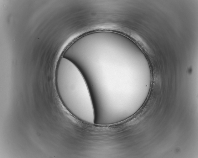 X0000094171232200710260902