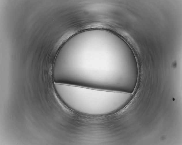 X0000094171233200710260902