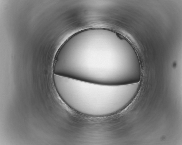 X0000094171236200710260902