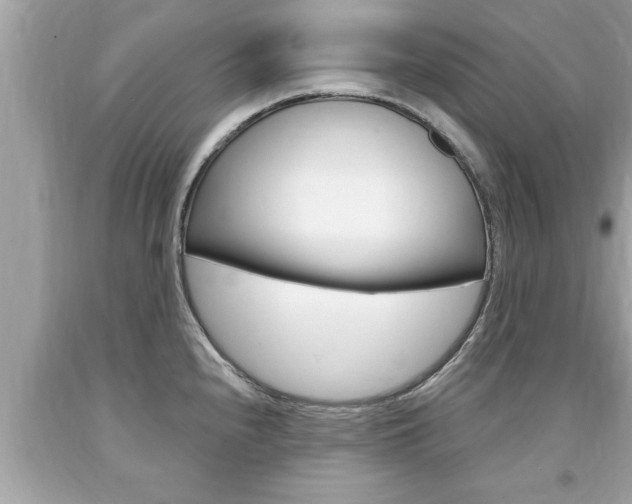 X0000094171240200710260902