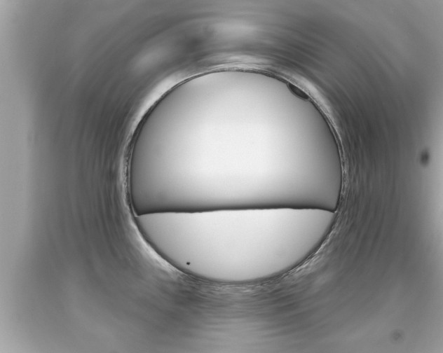 X0000094171243200710260902