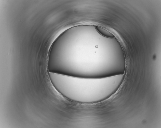 X0000094171244200710260902