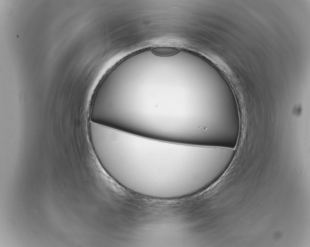 X0000094171248200710260902