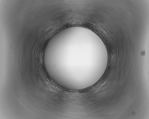 X0000094171250200710260901
