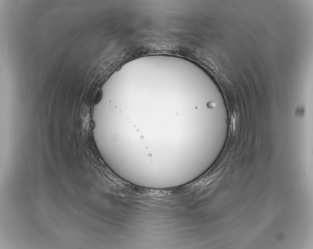 X0000094171251200710260901