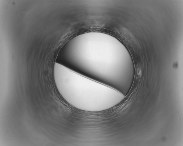 X0000094171252200710260901