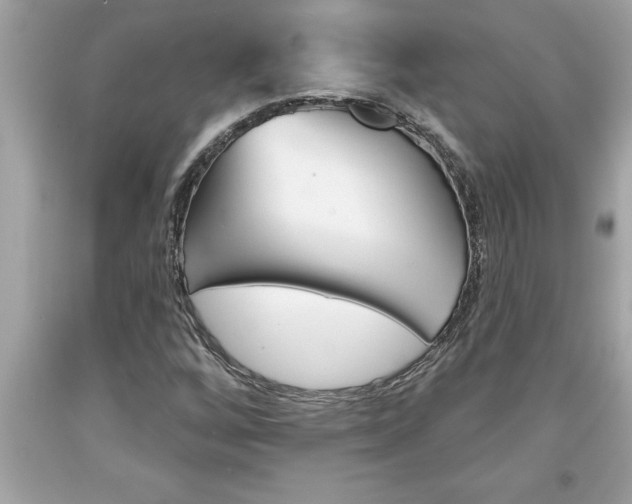 X0000094171256200710260901