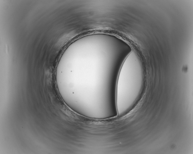 X0000094171257200710260901