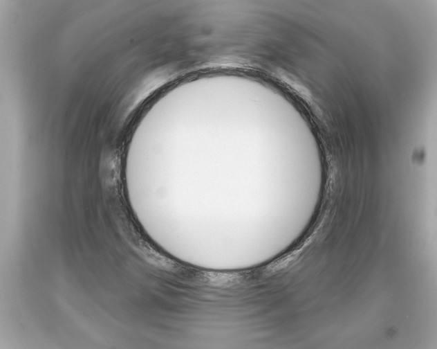 X0000094171258200710260901