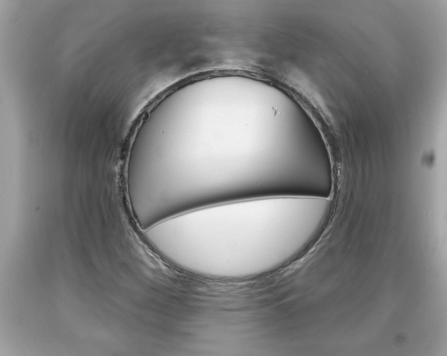 X0000094171260200710260901