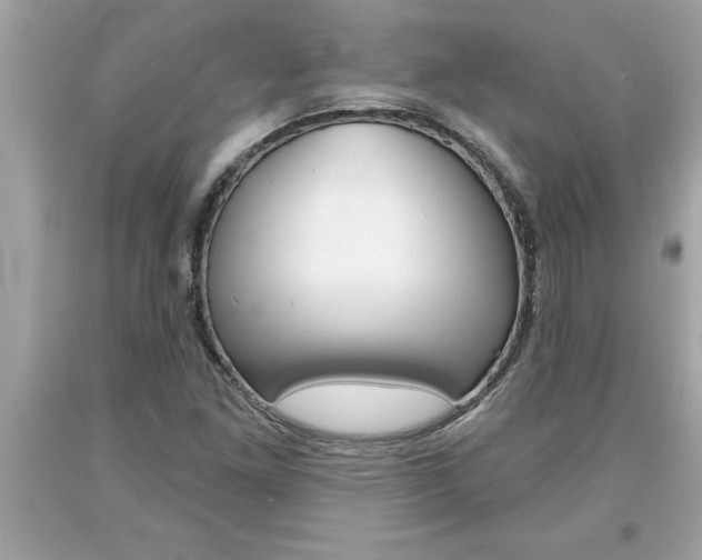 X0000094171261200710260901