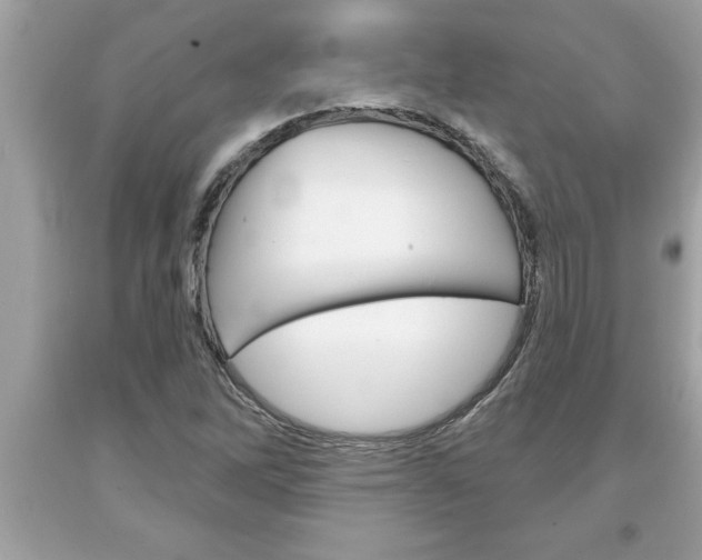 X0000094171262200710260901