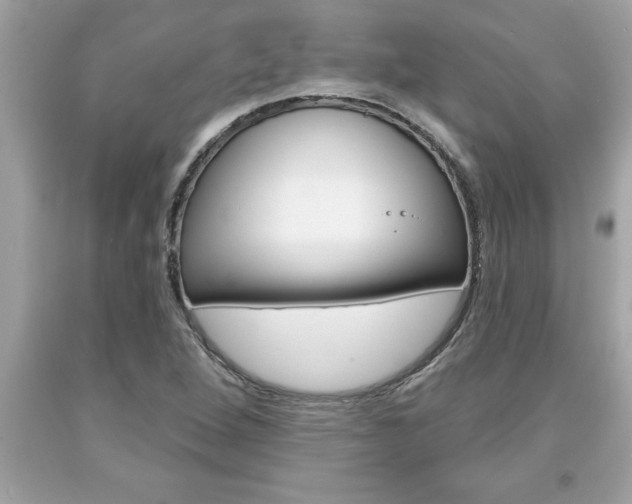 X0000094171264200710260901